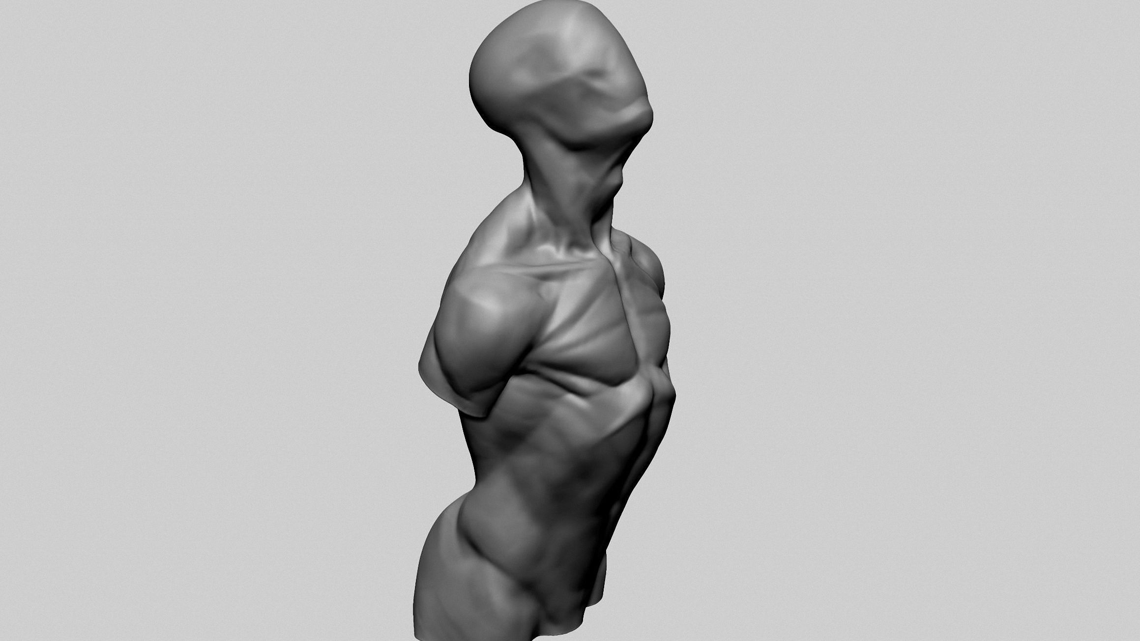 Base Male Torso C 3D model_1