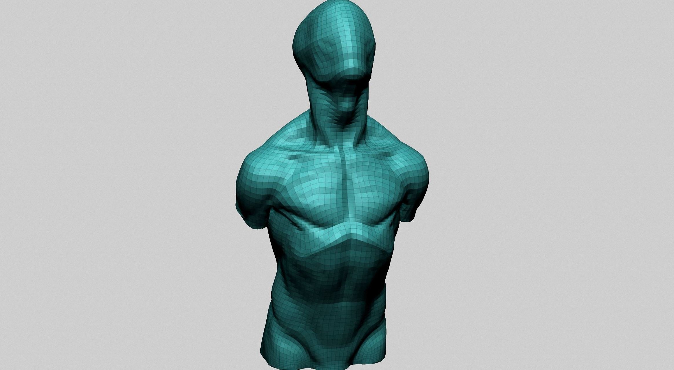 Base Male Torso C 3D model_10