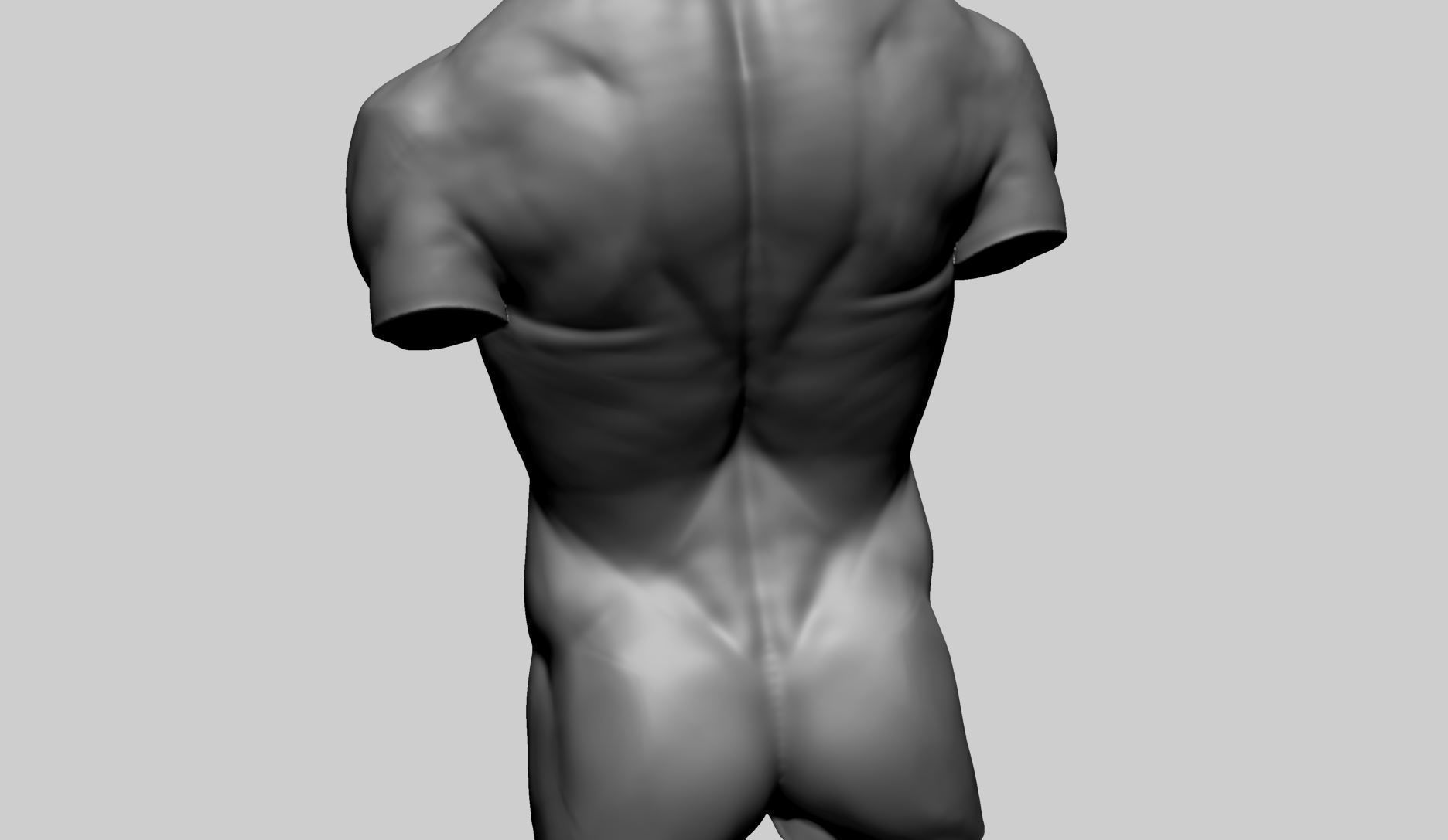 Base Male Torso C 3D model_7