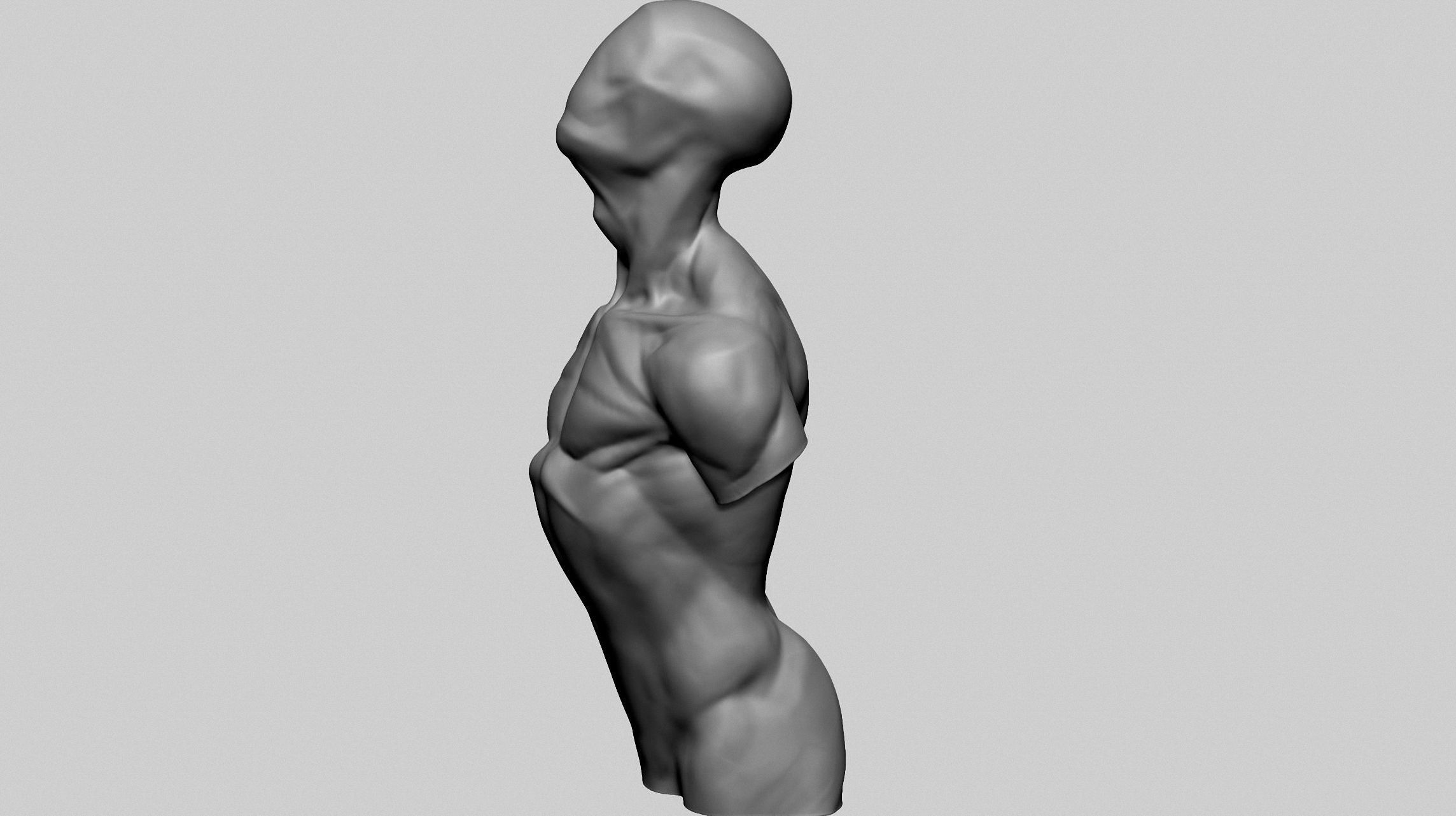 Base Male Torso C 3D model_2