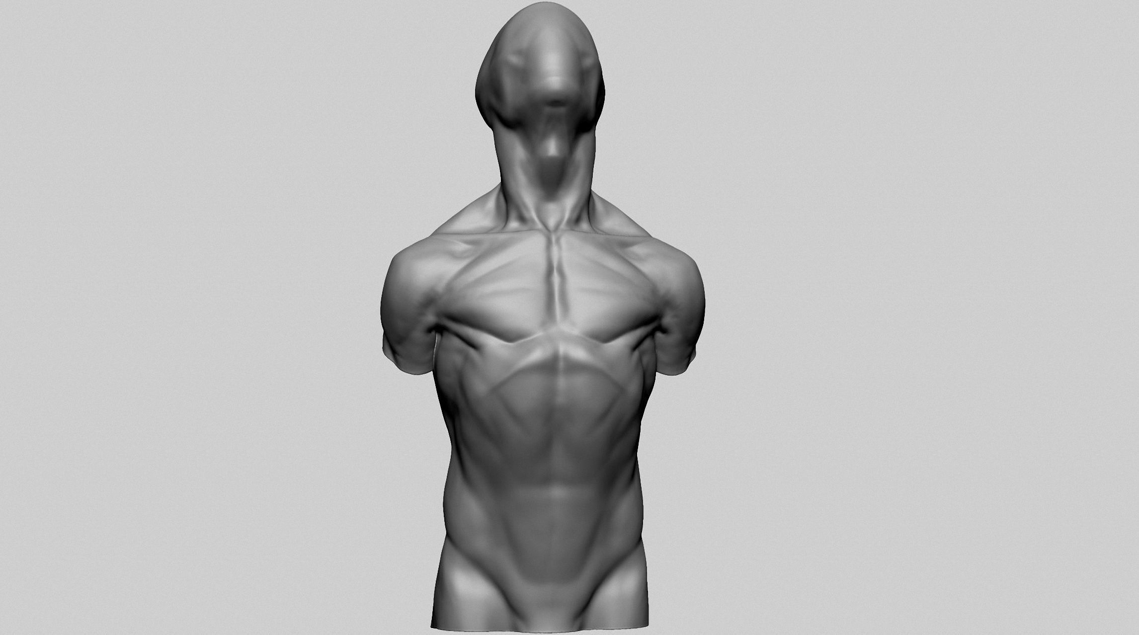 Base Male Torso C 3D model_3