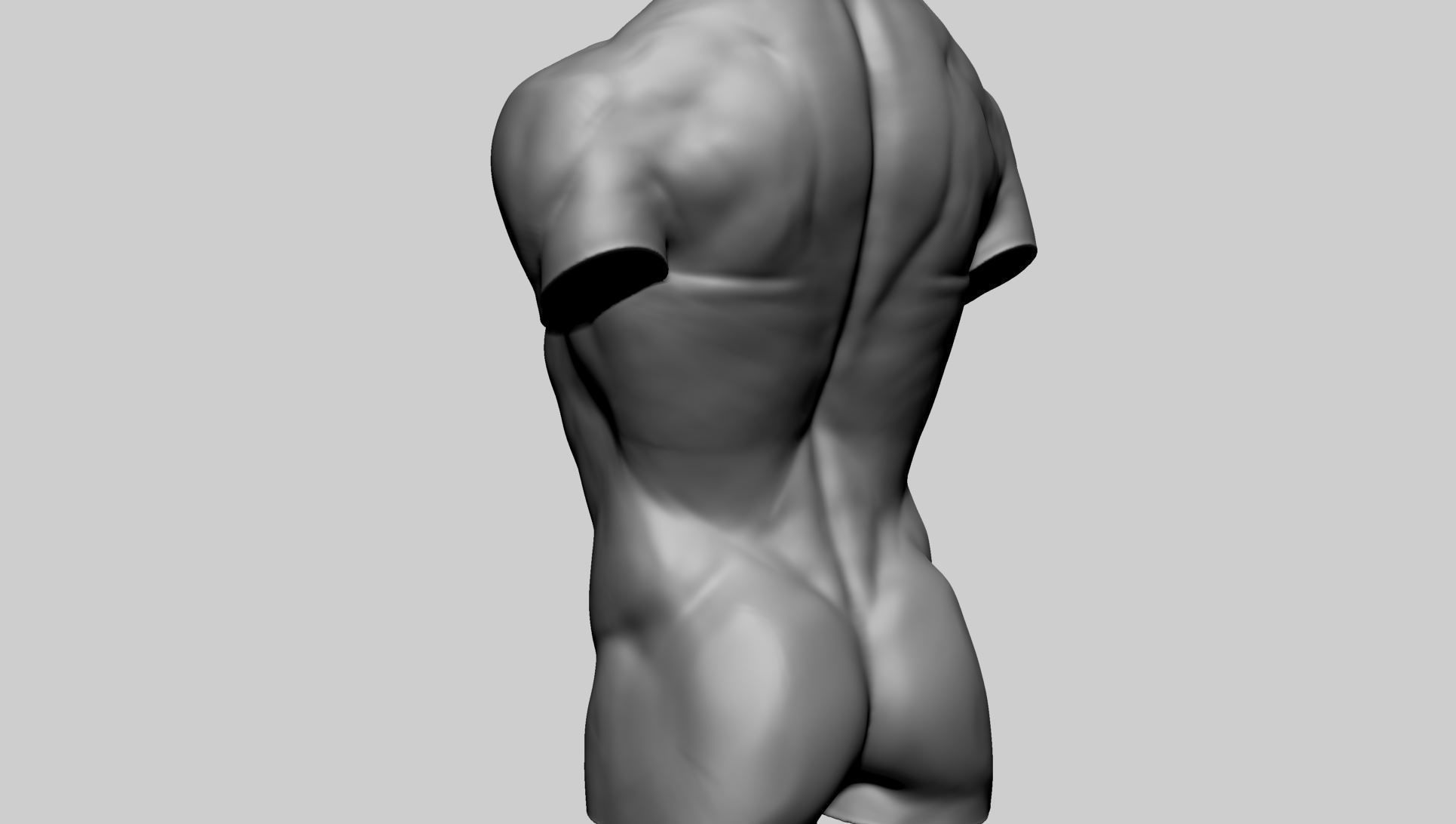 Base Male Torso C 3D model_8