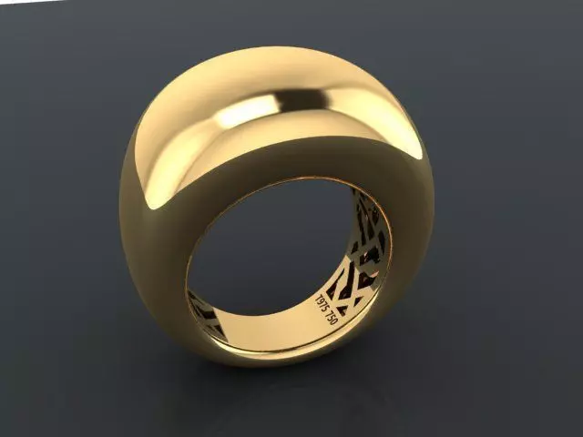 1  plain fusion RING 3D print model_0