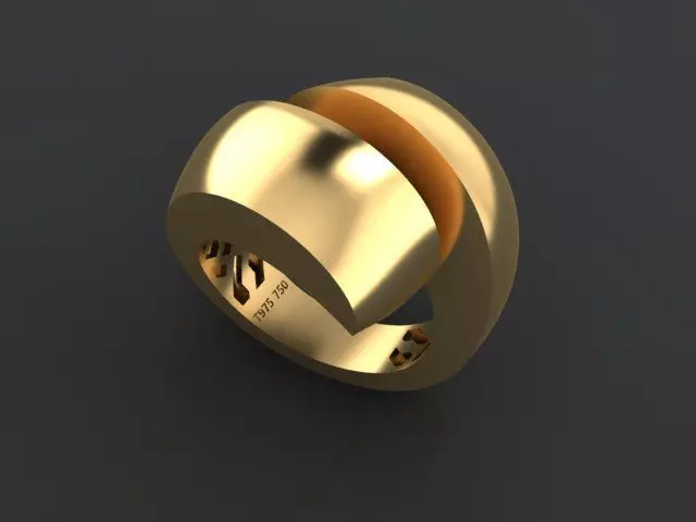 1 plain fusion RING 3D print model_0