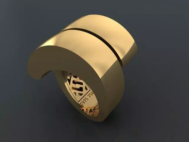 1  plain fusion RING 3D print model_0