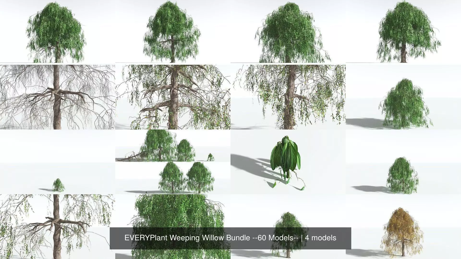 EVERYPlant Weeping Willow Bundle --60 Models-- 3D Model Collection_0