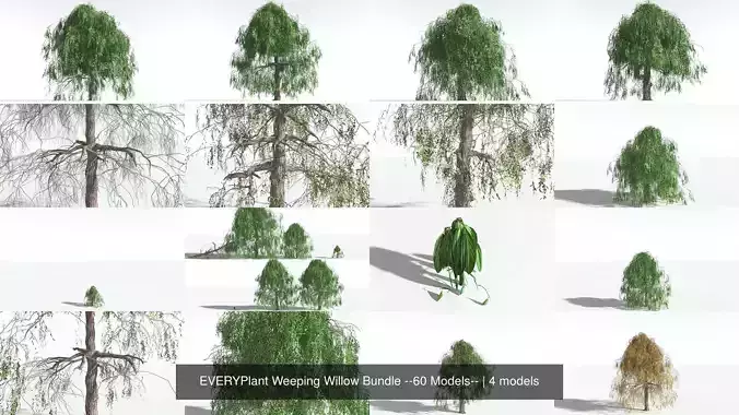 EVERYPlant Weeping Willow Bundle --60 Models-- 3D Model Collection