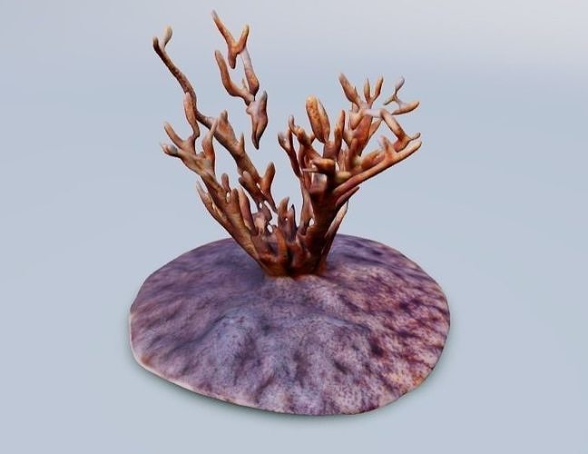 herb Leaf Free 3D model
