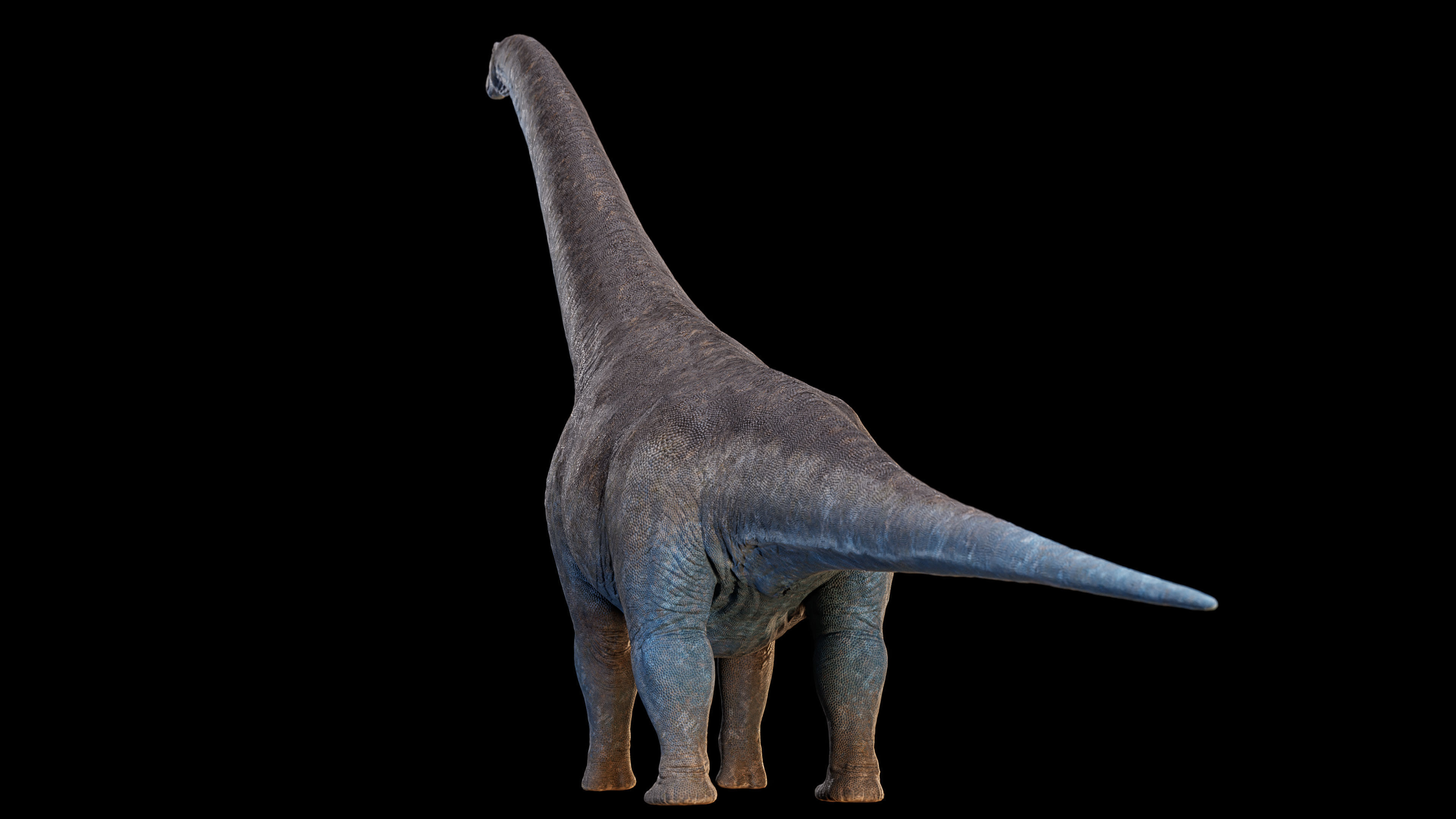 Argentinosaurus Animated 3D model_4