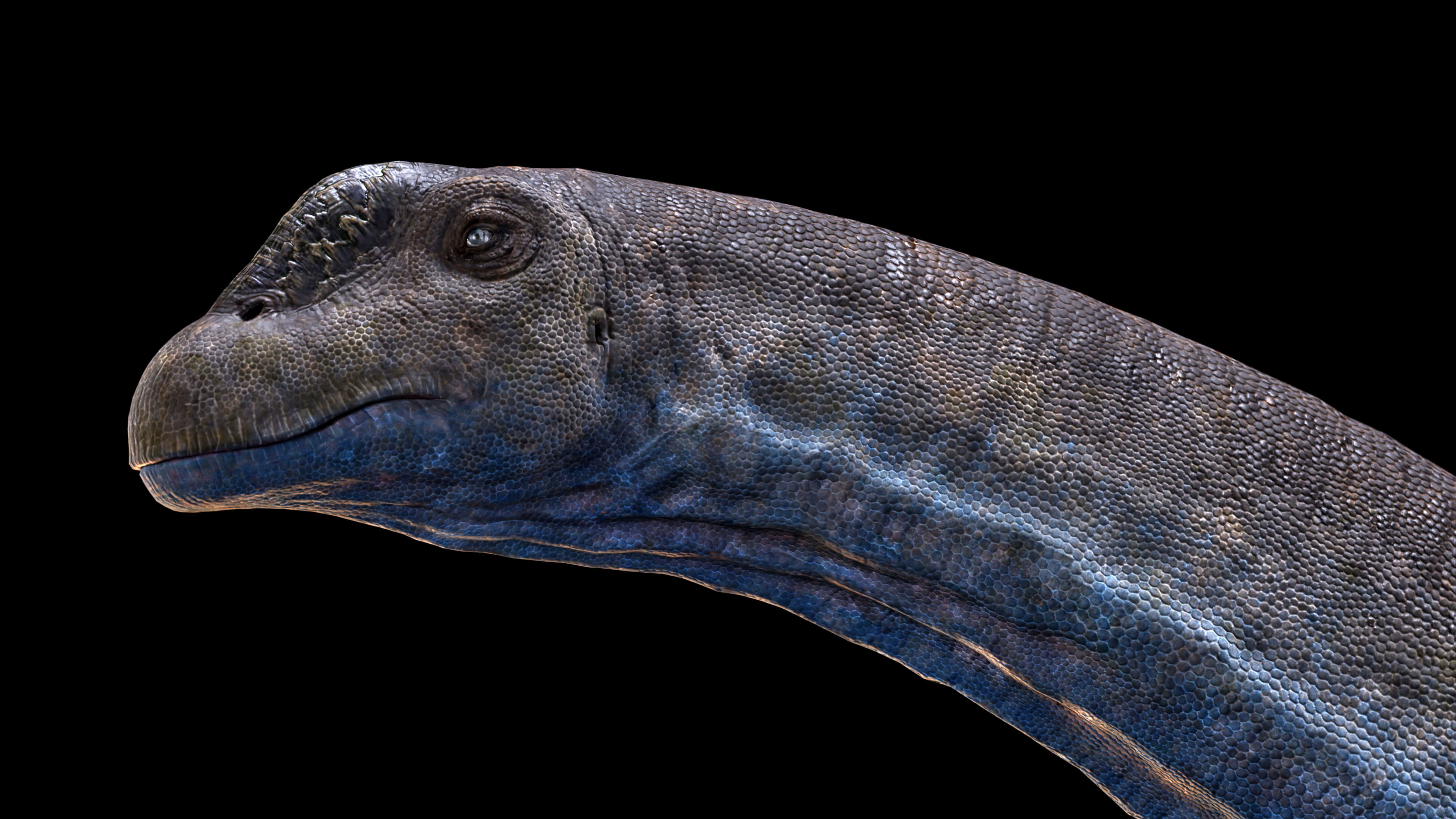 Argentinosaurus Animated 3D model_3