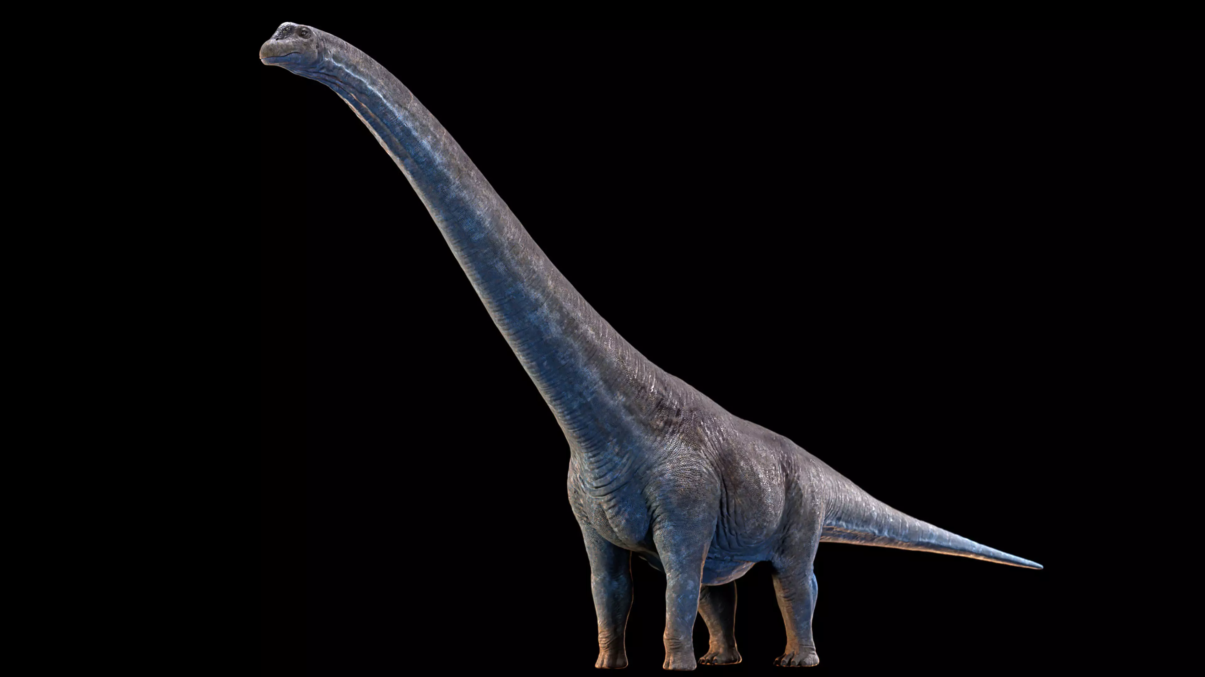 Argentinosaurus Animated 3D model_0
