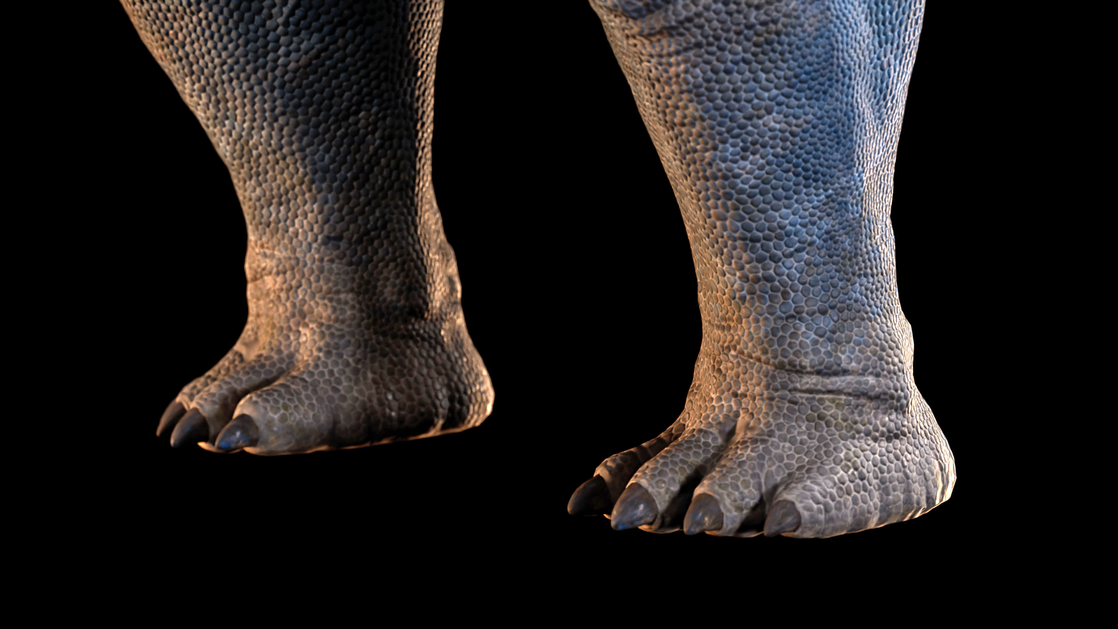 Argentinosaurus Animated 3D model_5