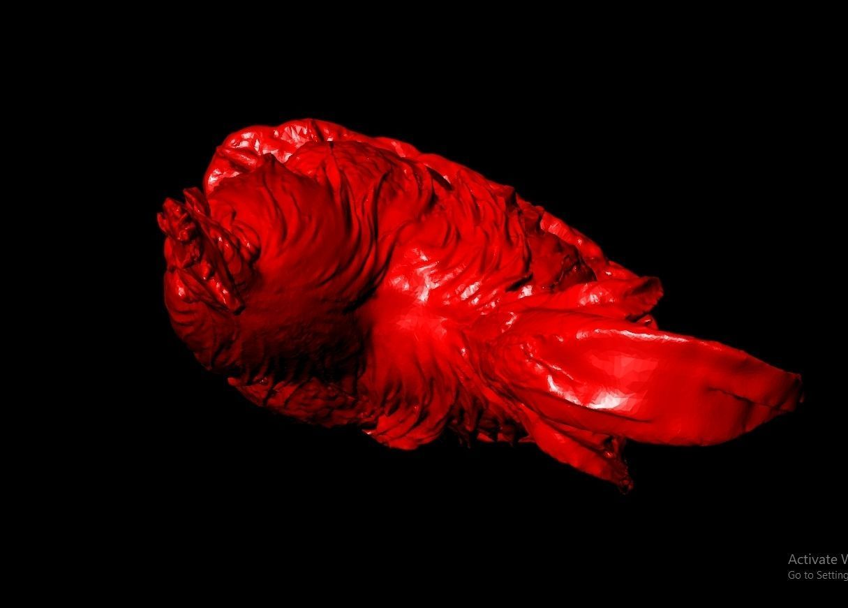 Chicken Sculpture Work-SCT021 3D print model