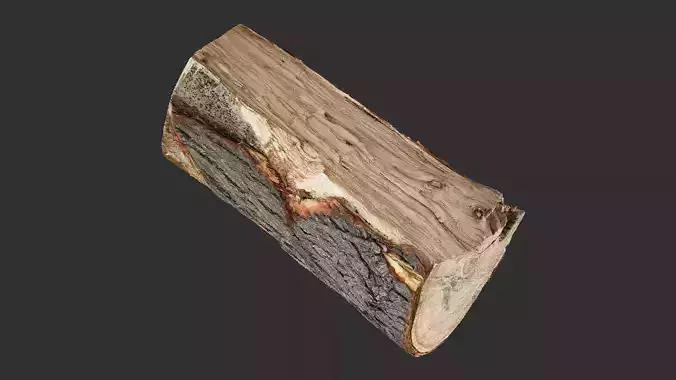 3D Scan tree trunk in highpoly