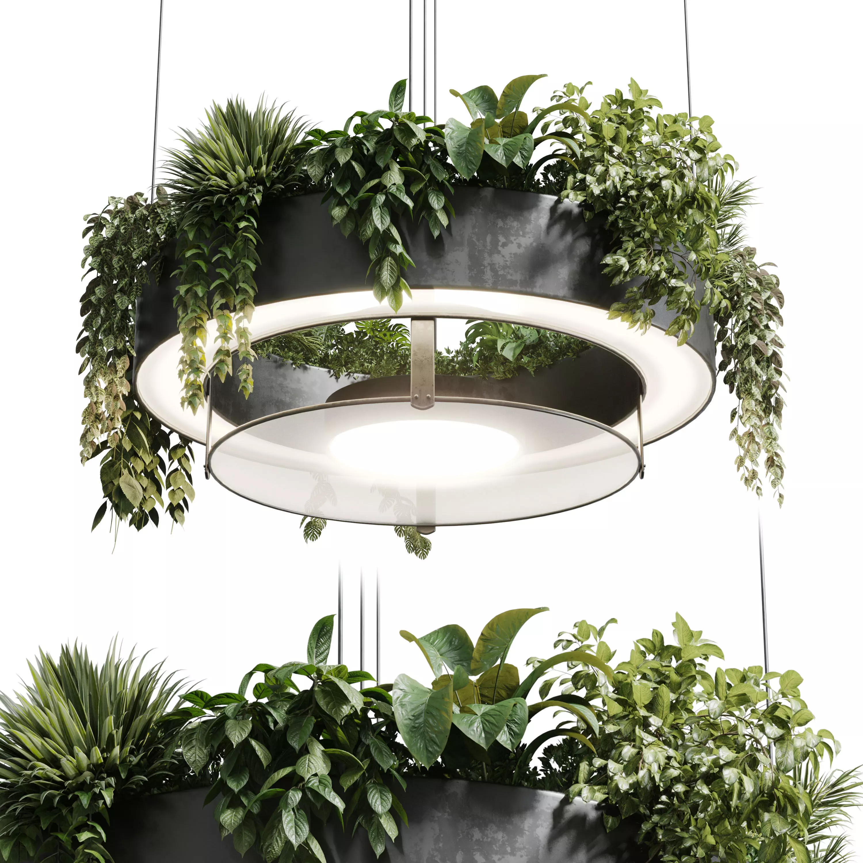 circle pot light pendant - plant light hanging 21 3D model | CGTrader