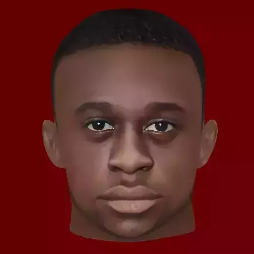 Aaron Wan-Bissaka Head - Low poly head for game