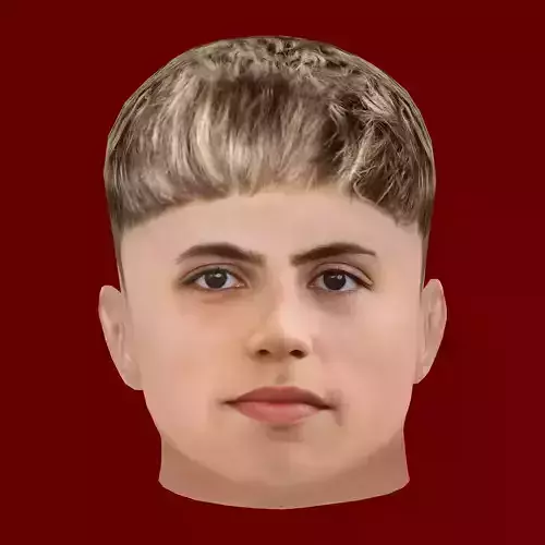 Alejandro Garnacho Head - Low poly head for game