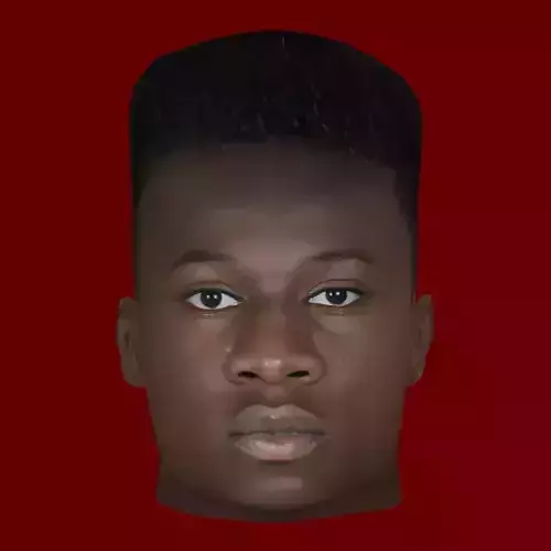 Andre Onana Head - Low poly head for game