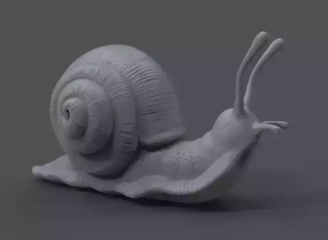 Snail 3D printable model 3D print model