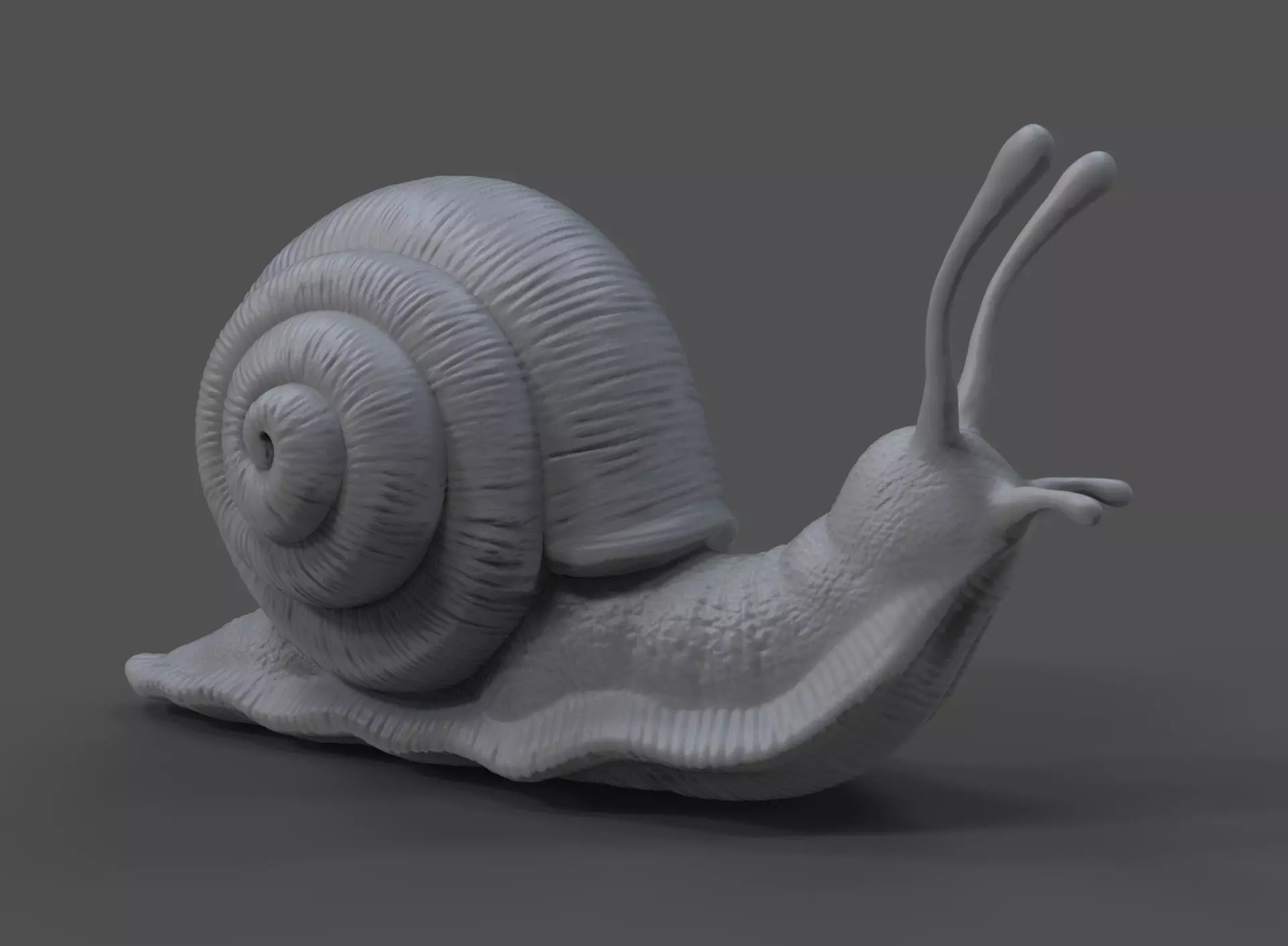 Snail 3D printable model 3D print model