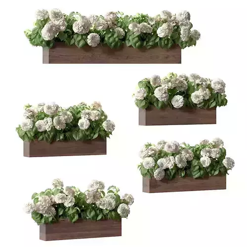 Hydrangea plant in a flowerpot for the facade - 5 models