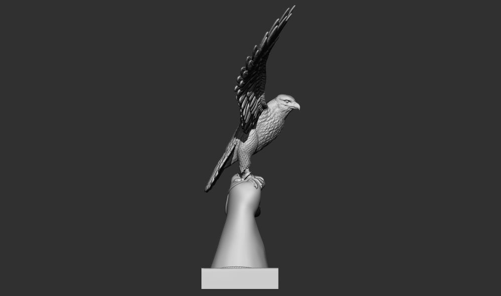 Falcon on hand 3D Printable model 3D print model_4