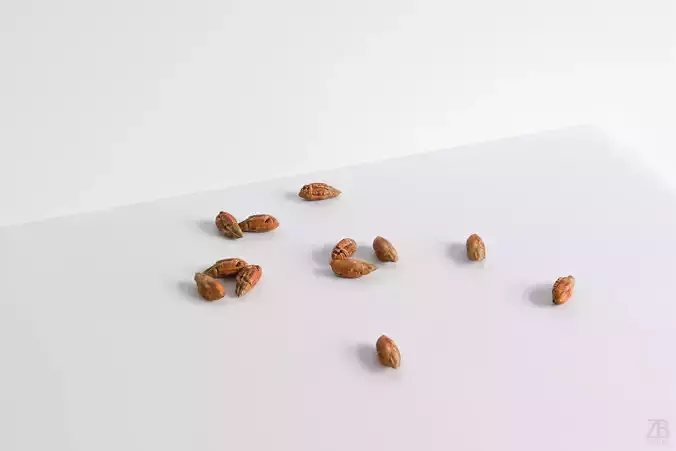 Date Seed 3D model