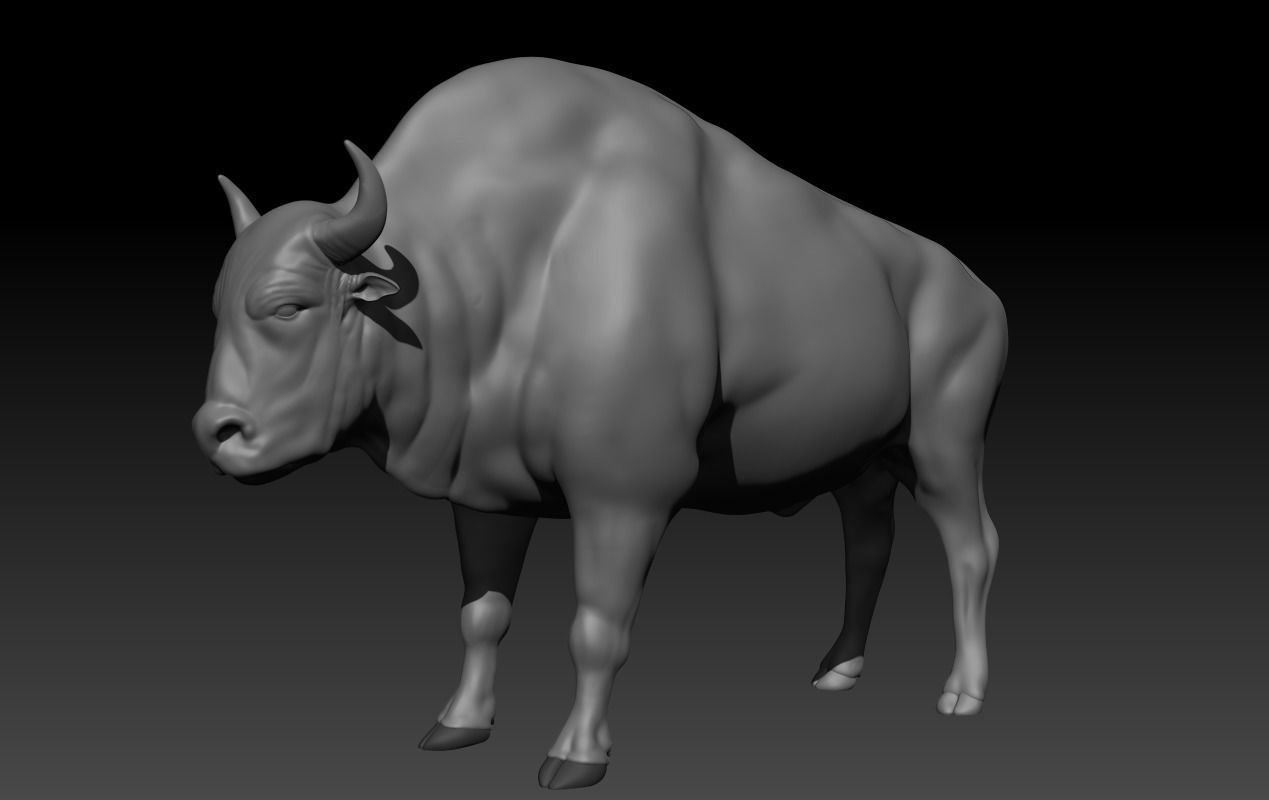 BULL Anatomy 3D print model_1