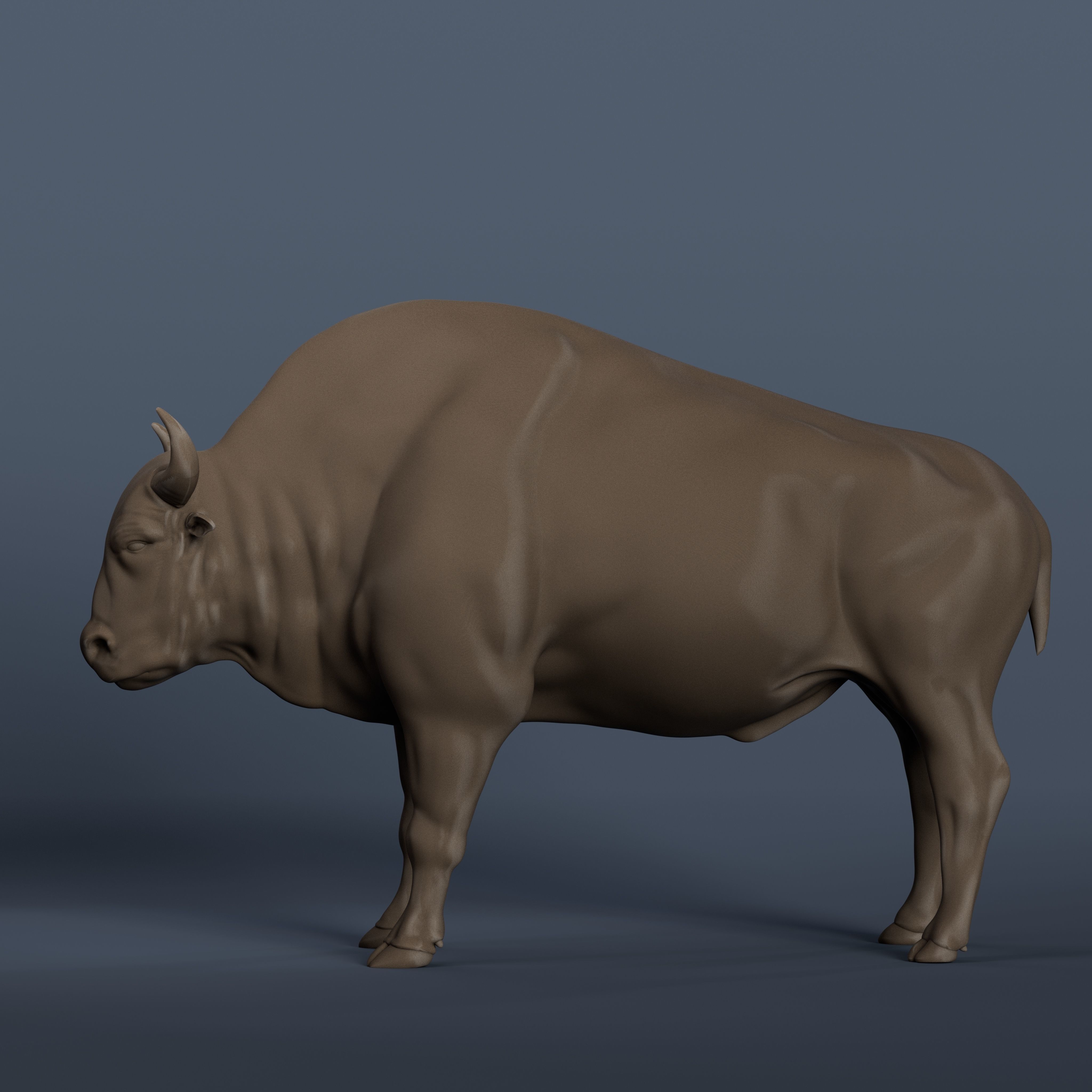 The Complete Guide To Bull Anatomy: Nipples And More! - dmzhhjj