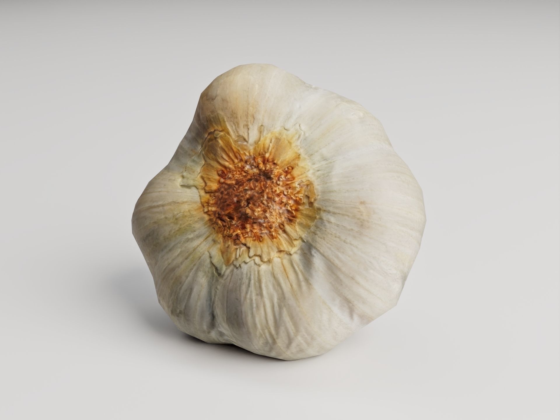 Garlic Bulb - 3D Scan Low-poly 3D model_9