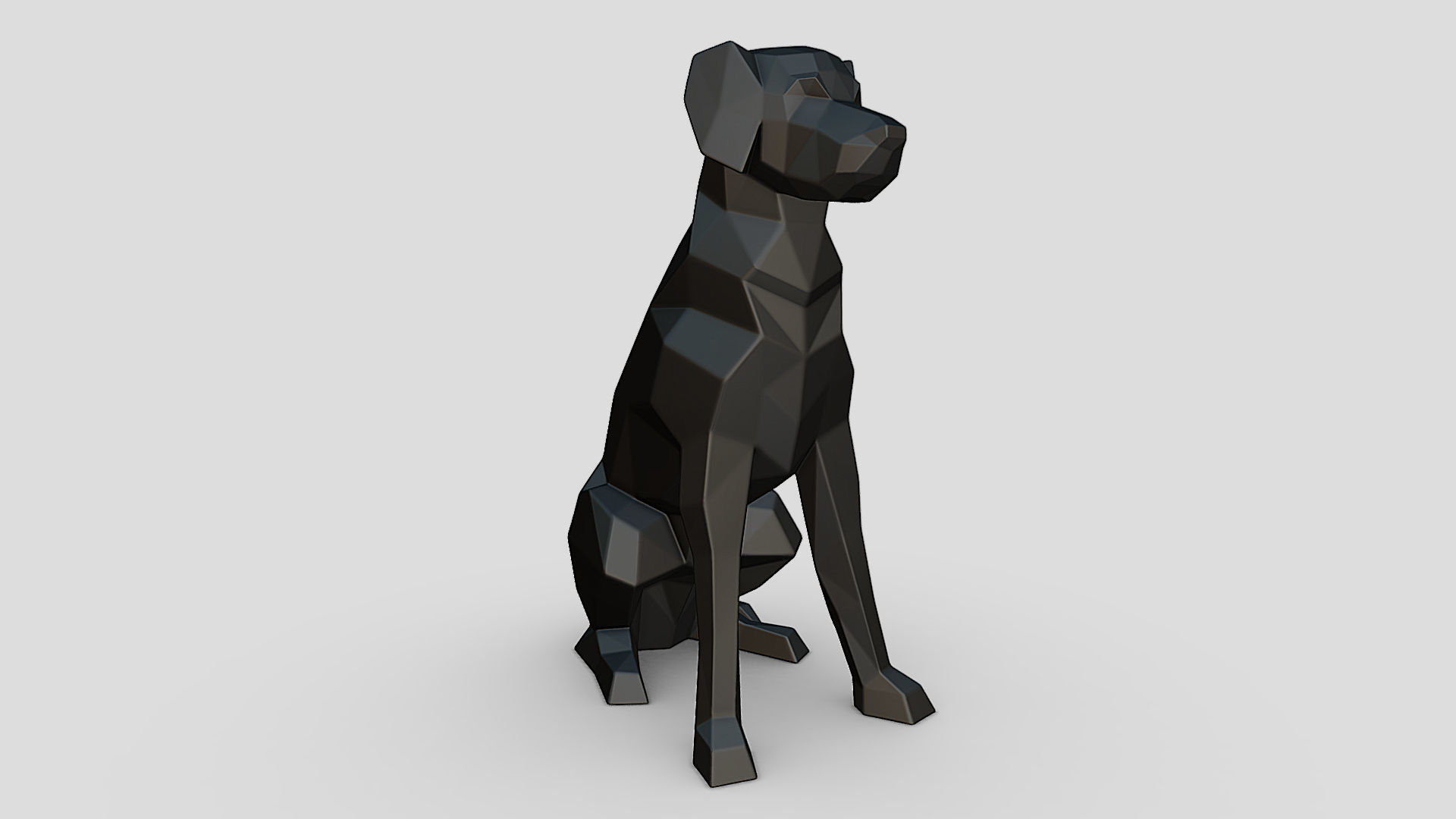 border collie labrador mix 3D print model_5
