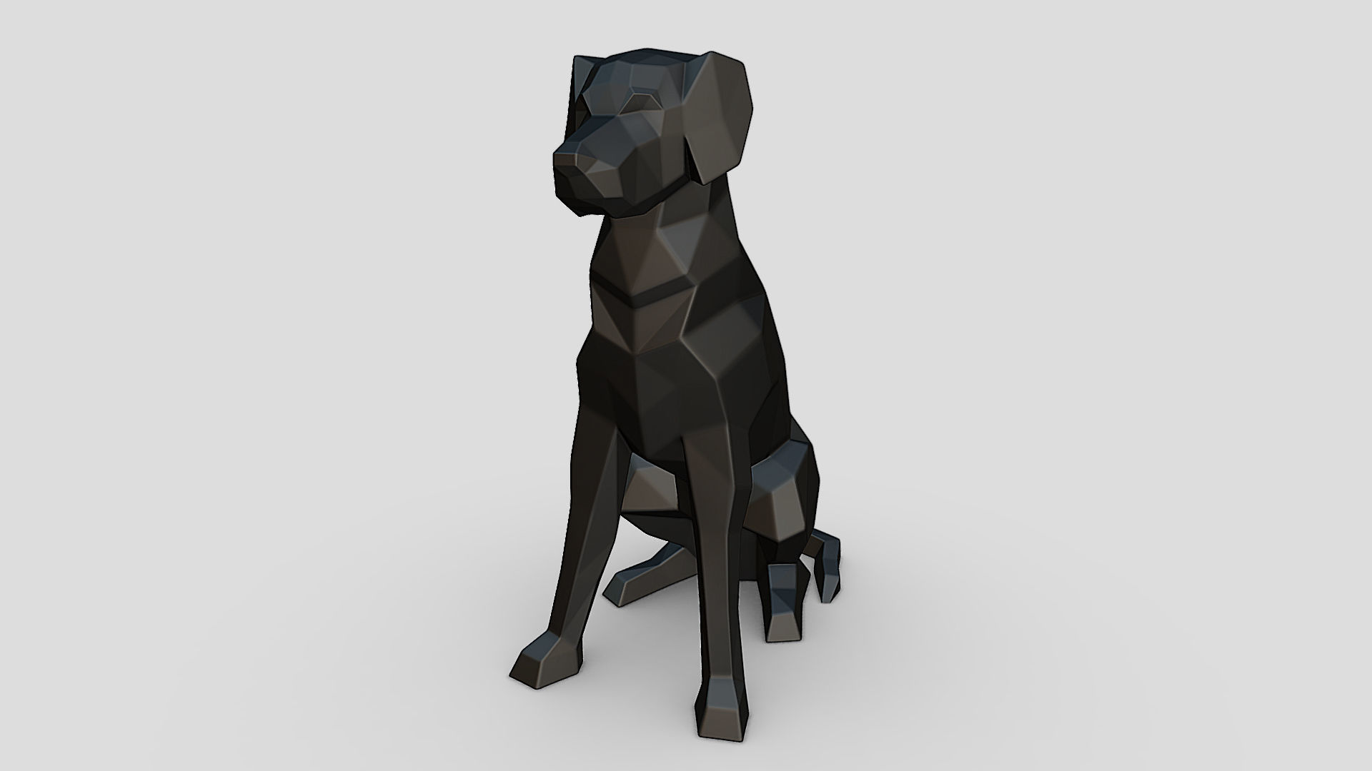 border collie labrador mix 3D print model_6