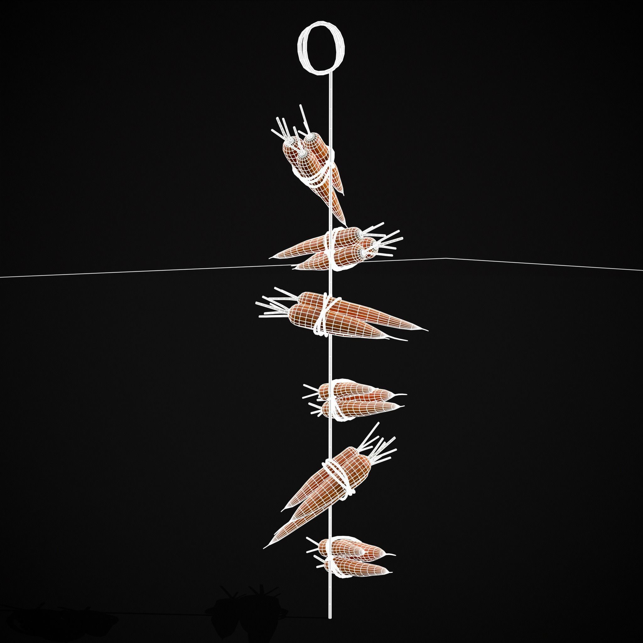 Hanging Carrots Low-poly 3D model_2