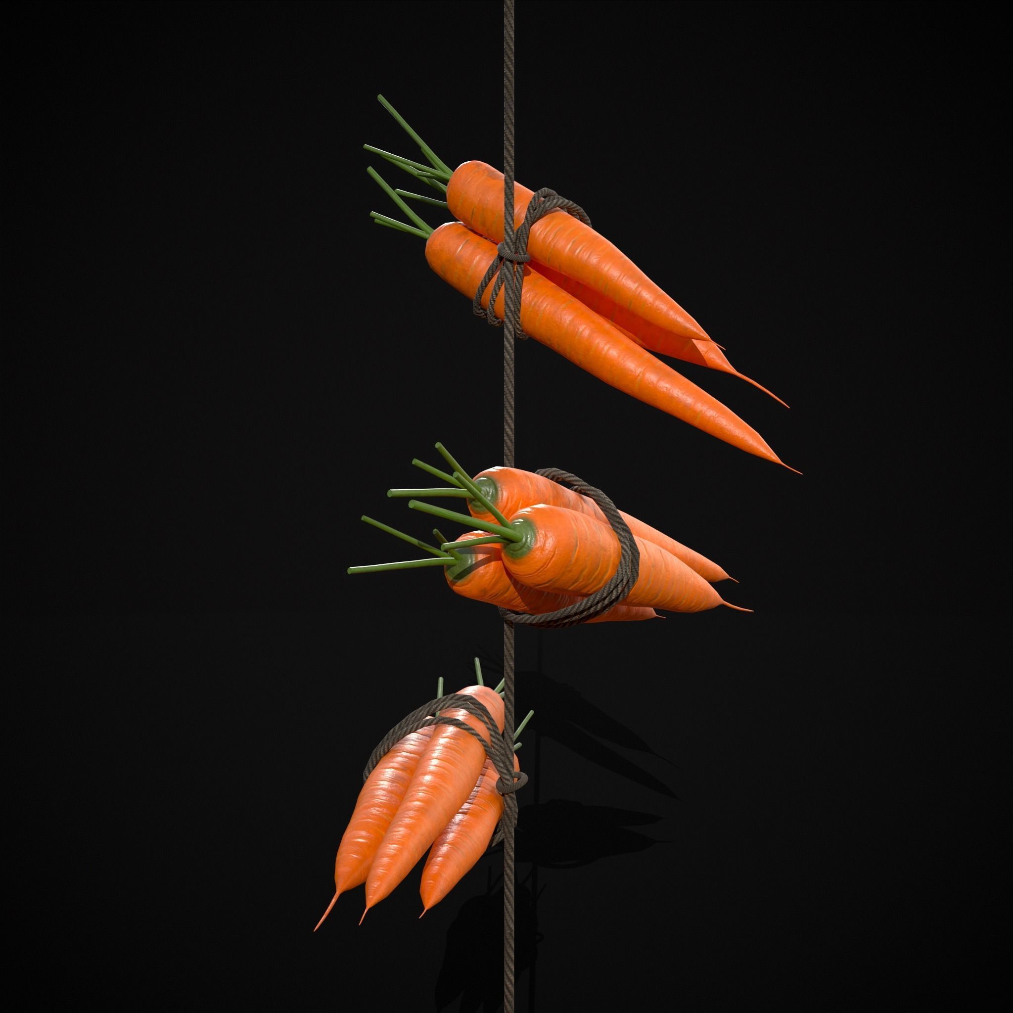 Hanging Carrots Low-poly 3D model_11