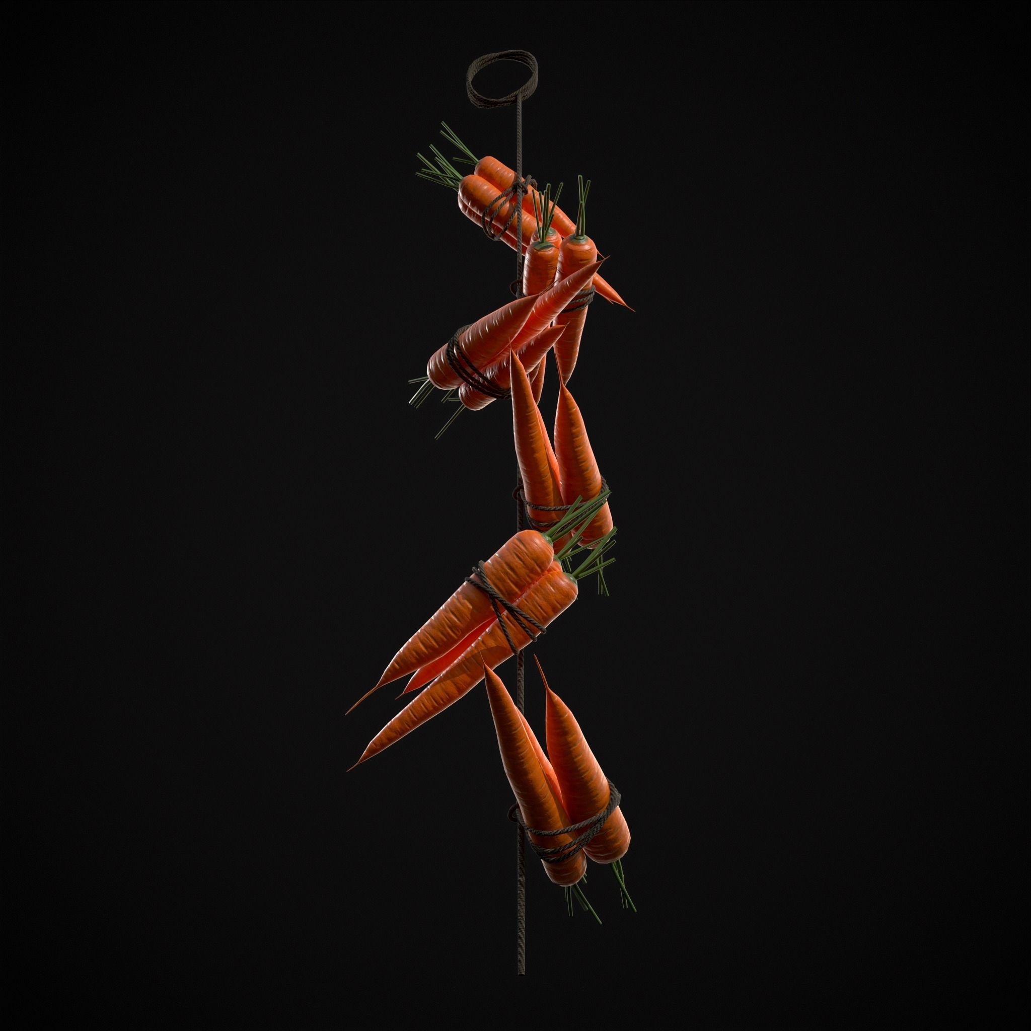 Hanging Carrots Low-poly 3D model_15