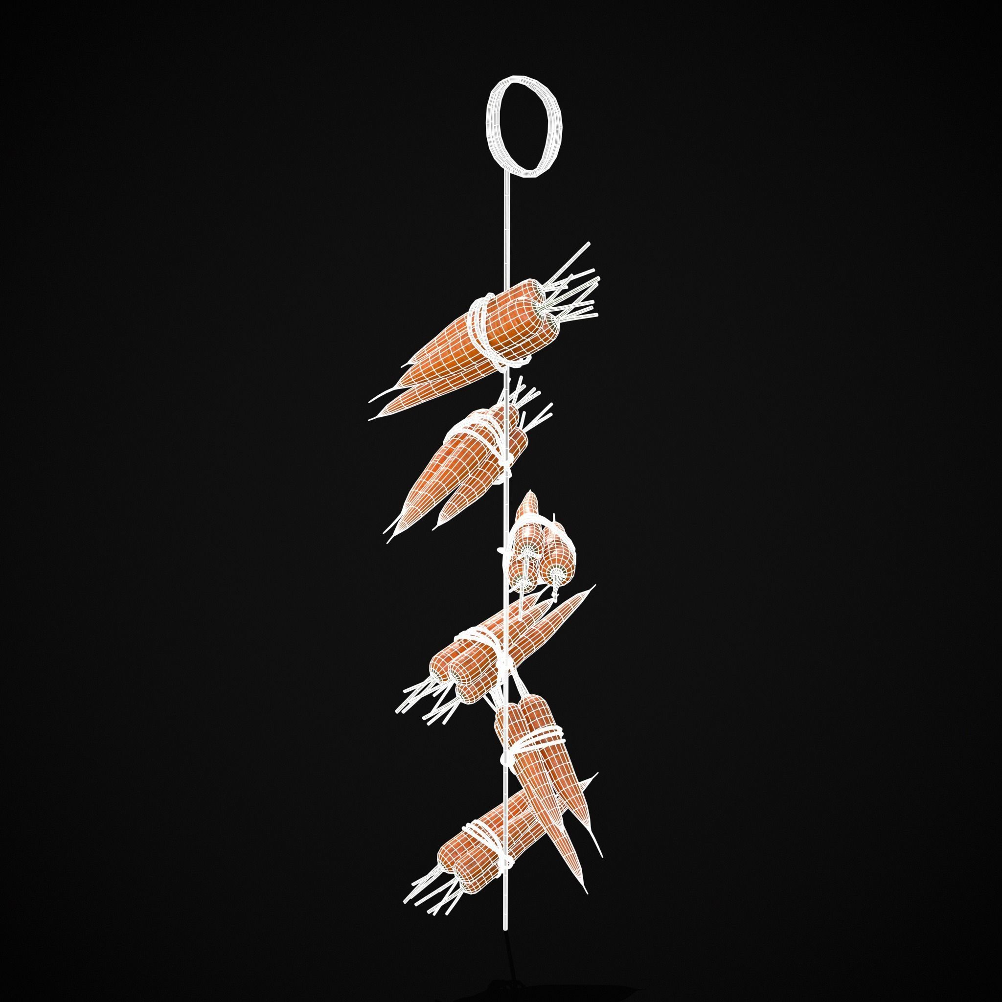 Hanging Carrots Low-poly 3D model_4