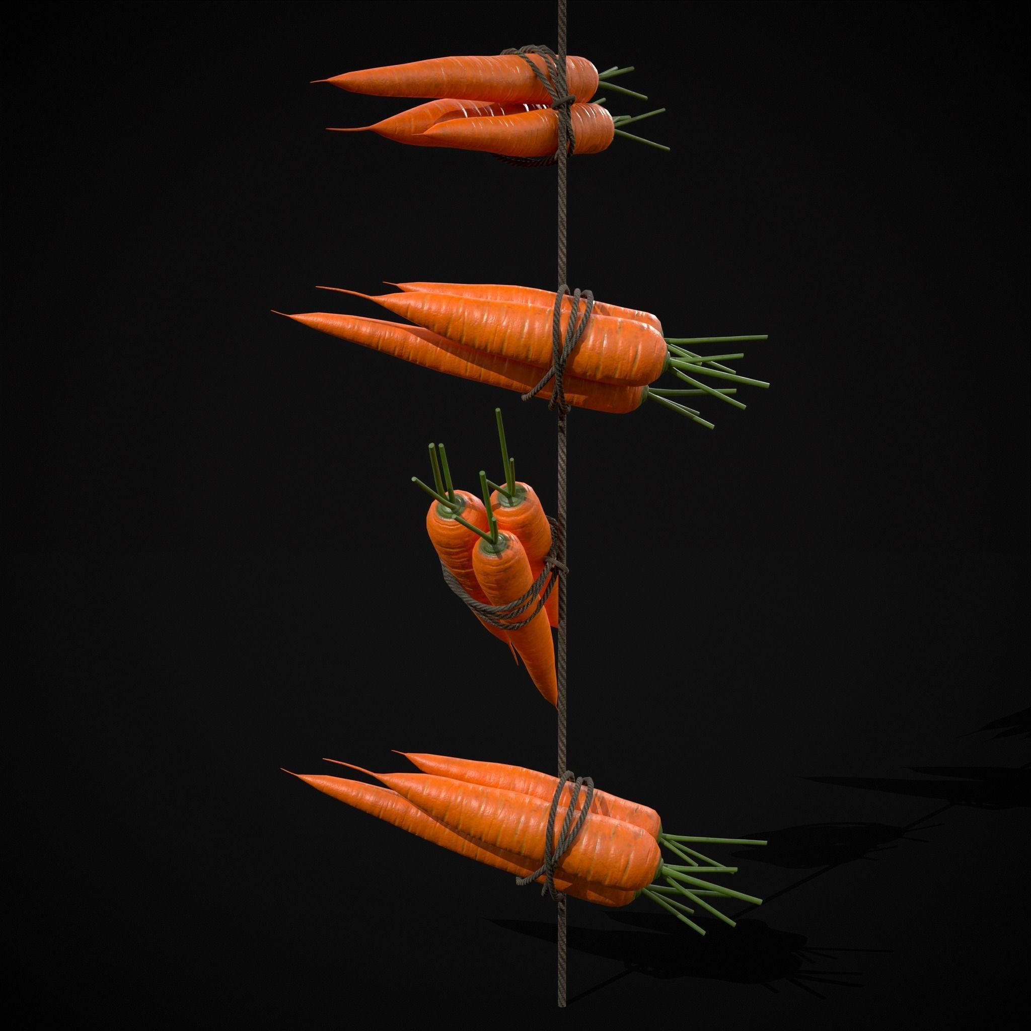 Hanging Carrots Low-poly 3D model_13