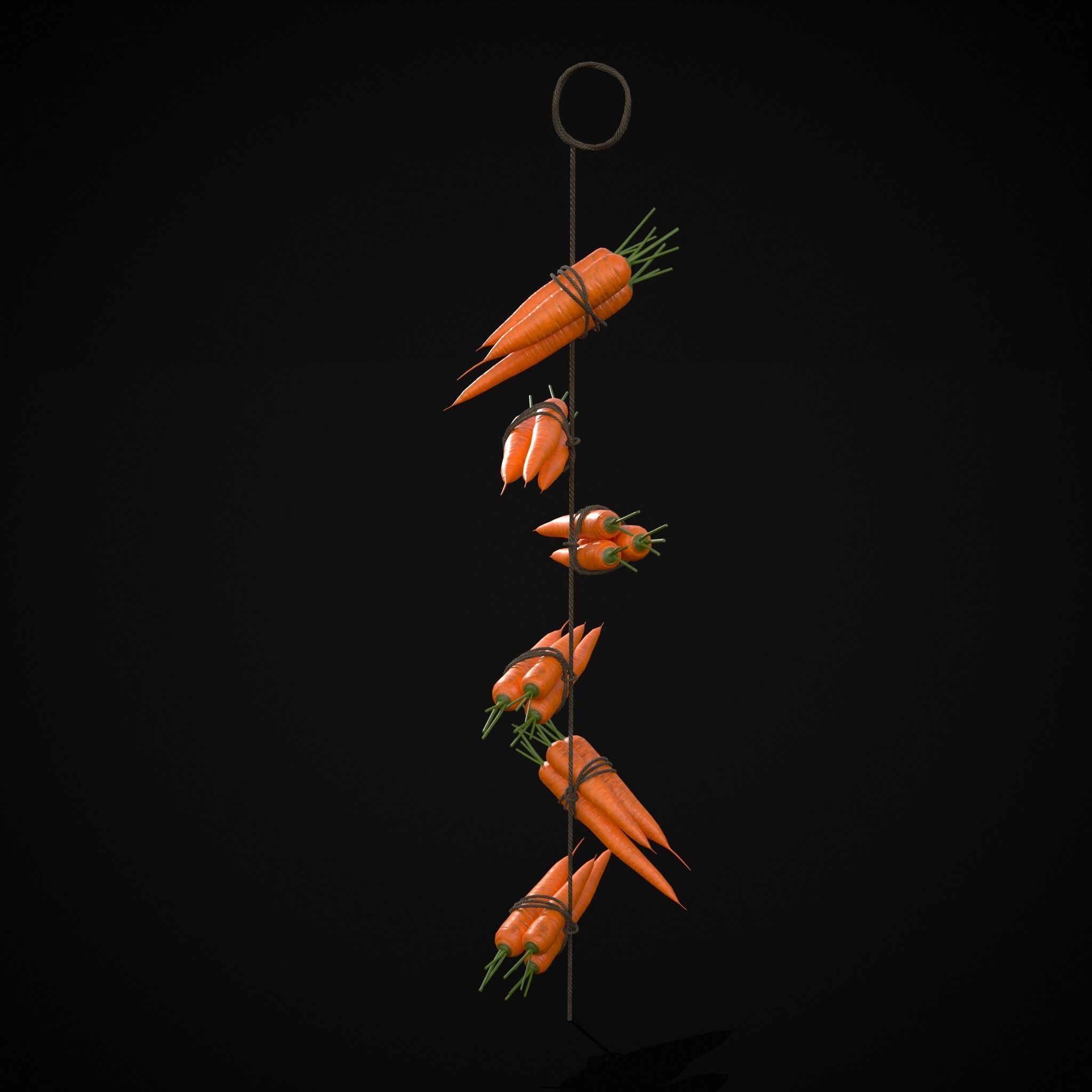 Hanging Carrots Low-poly 3D model_19