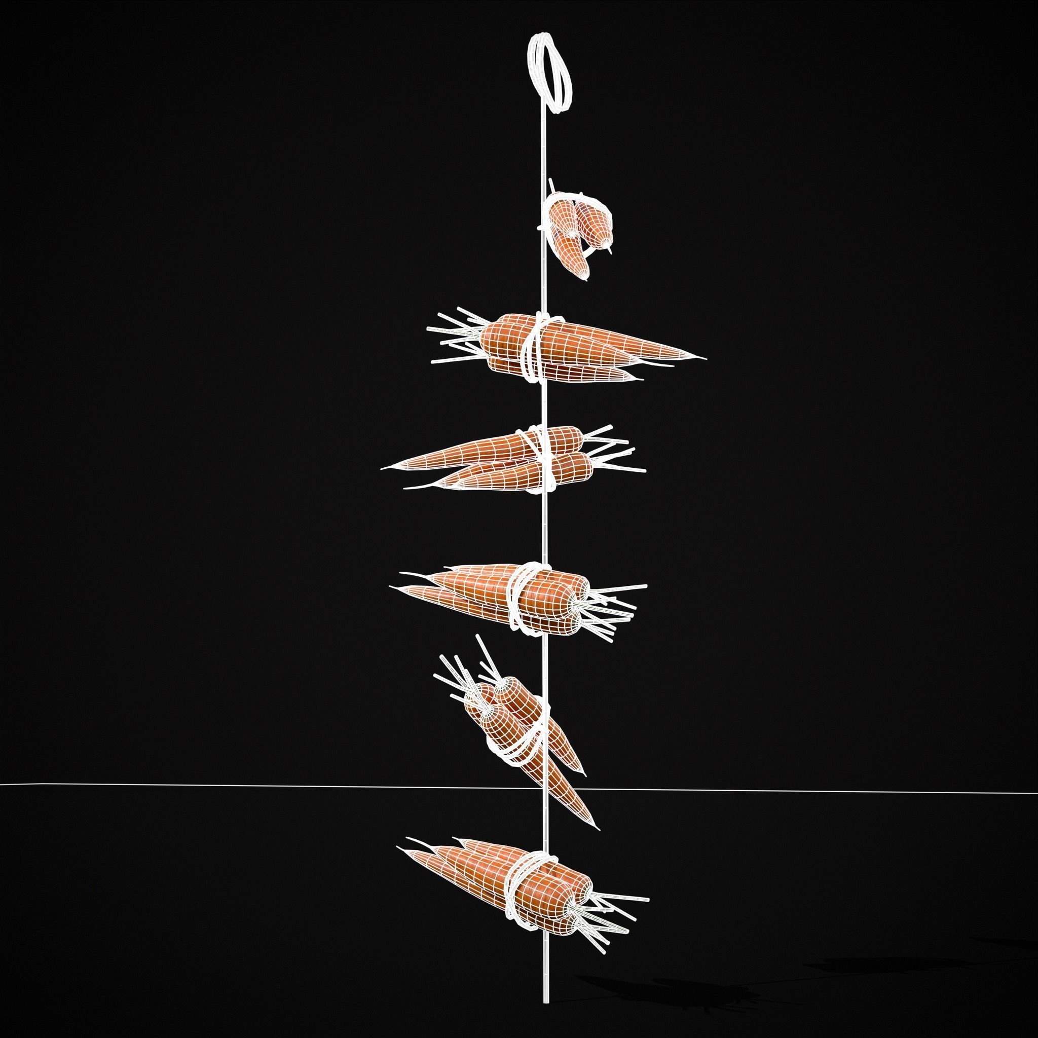 Hanging Carrots Low-poly 3D model_6