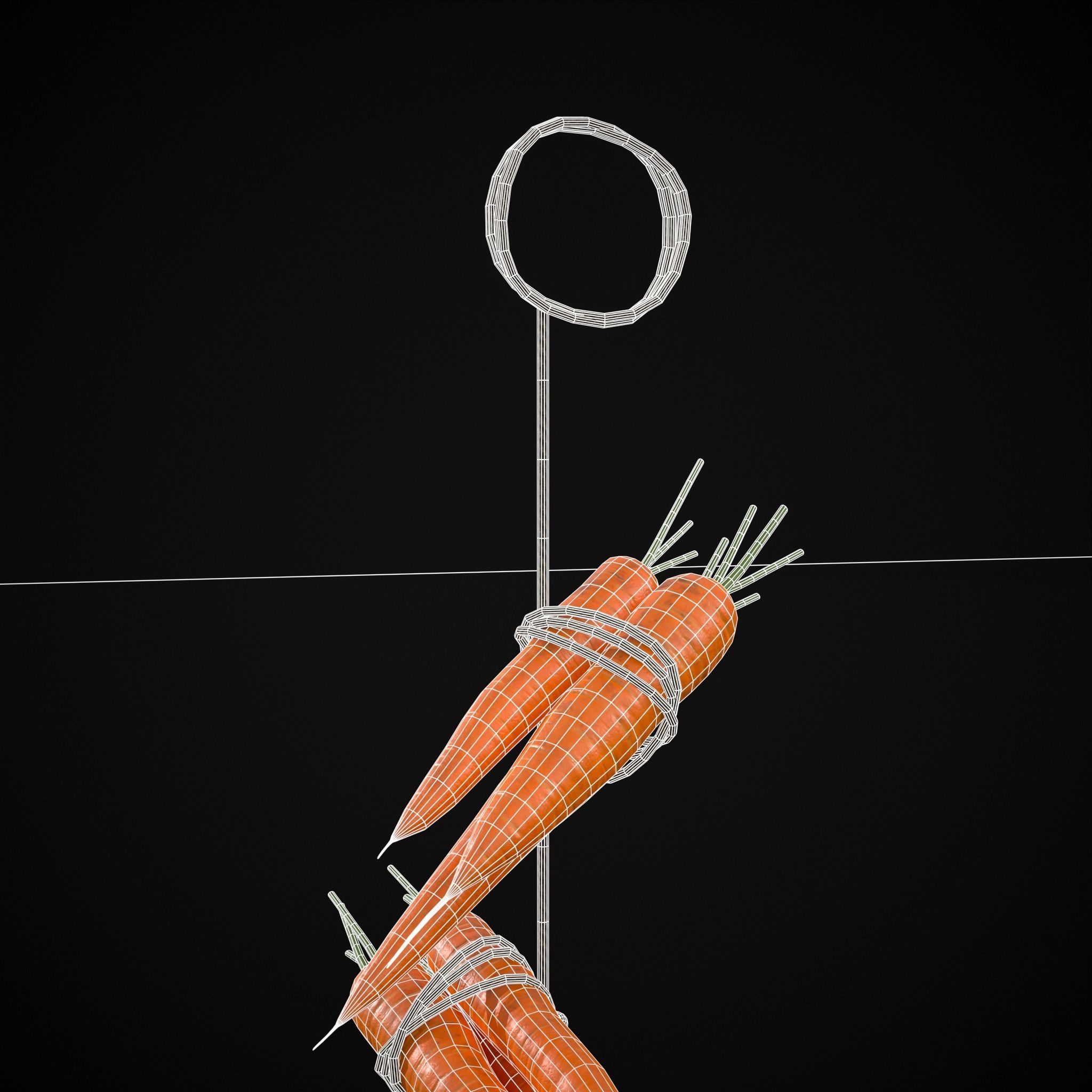 Hanging Carrots Low-poly 3D model_10