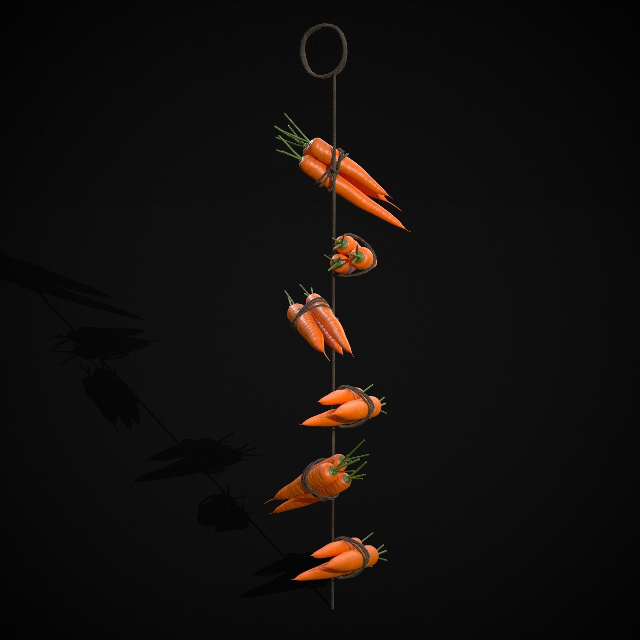 Hanging Carrots Low-poly 3D model_7