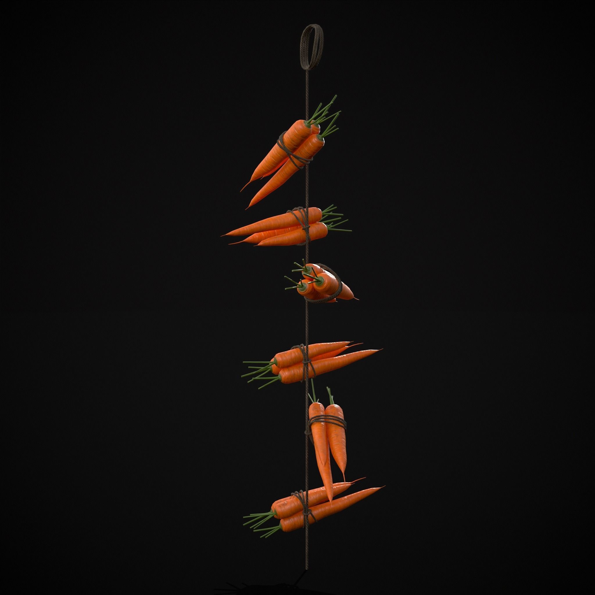 Hanging Carrots Low-poly 3D model_17