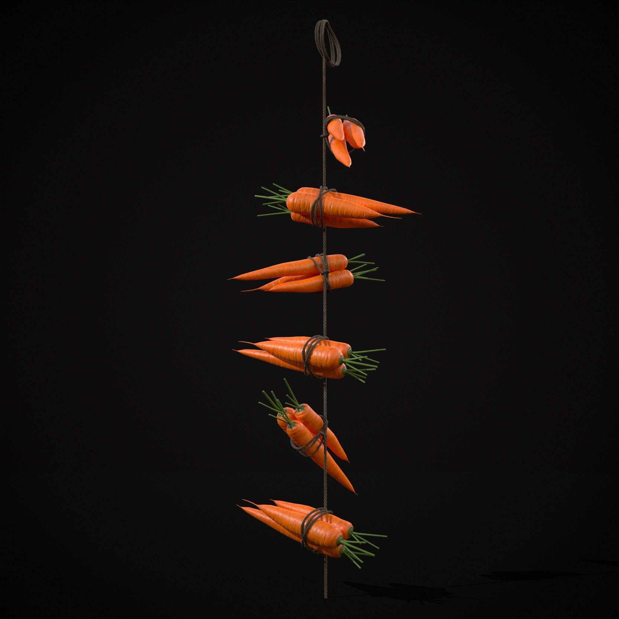 Hanging Carrots Low-poly 3D model_5