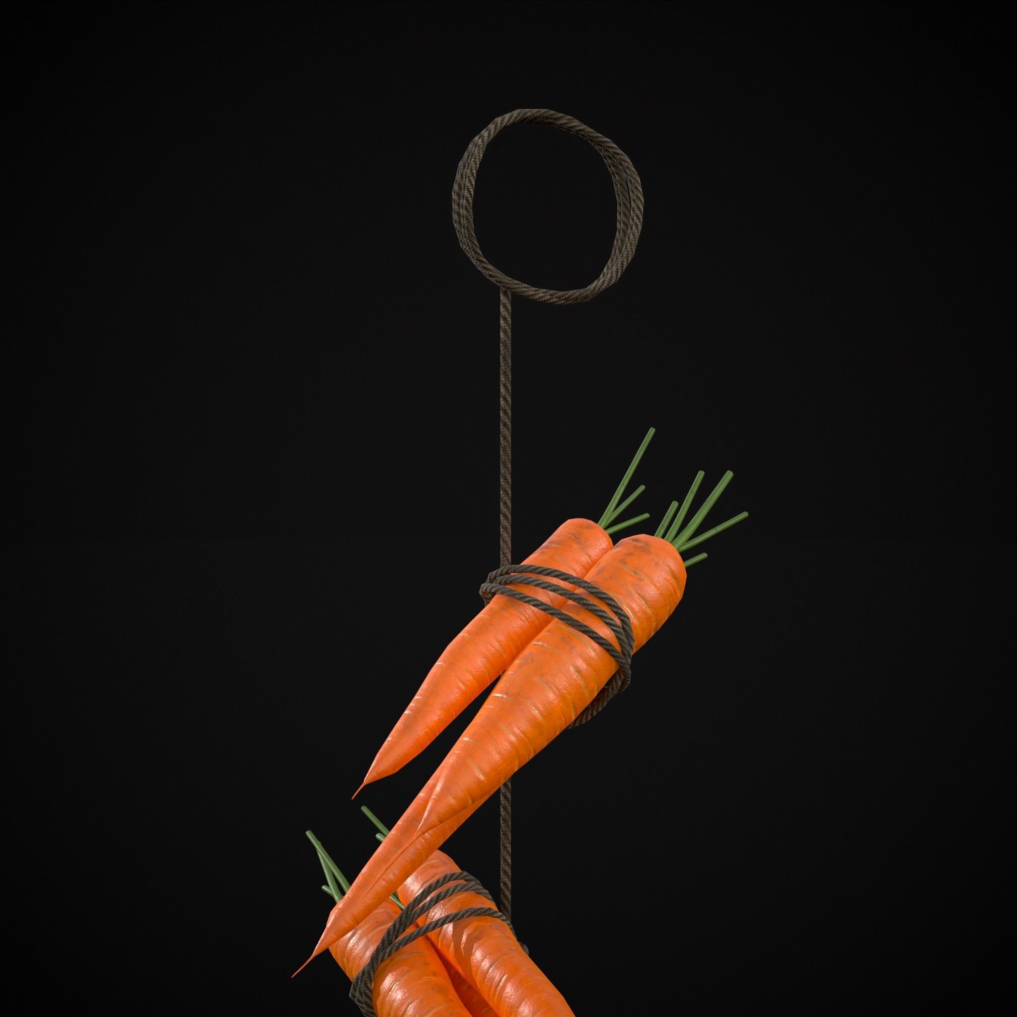 Hanging Carrots Low-poly 3D model_9