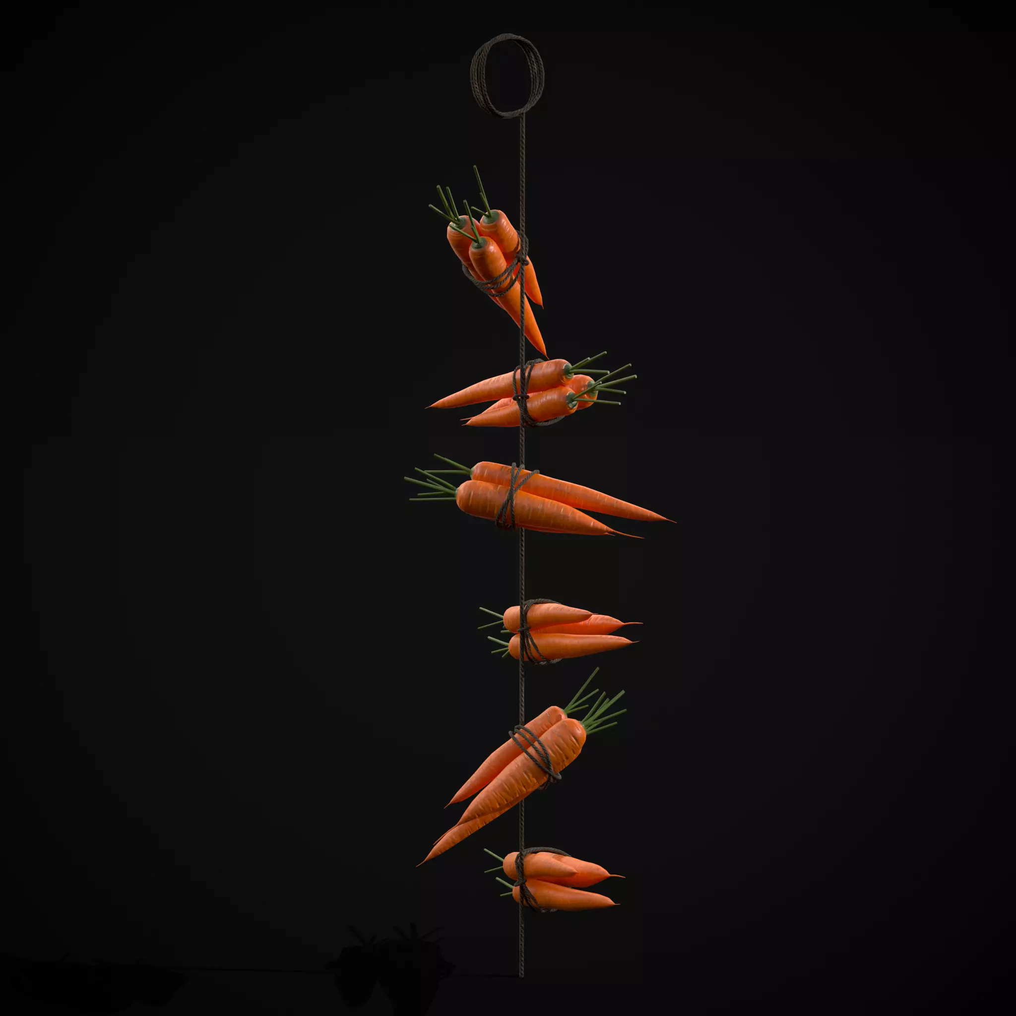 Hanging Carrots Low-poly 3D model_0