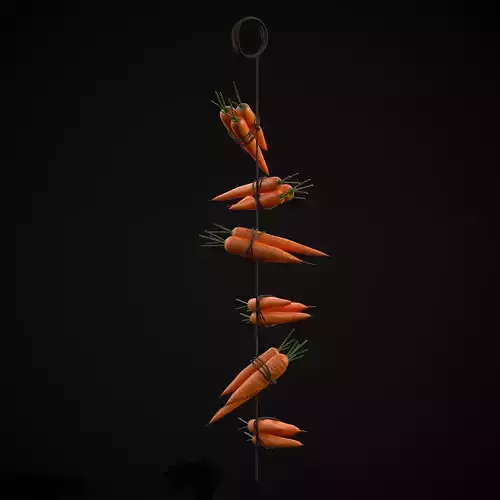 Hanging Carrots Low-poly 3D model