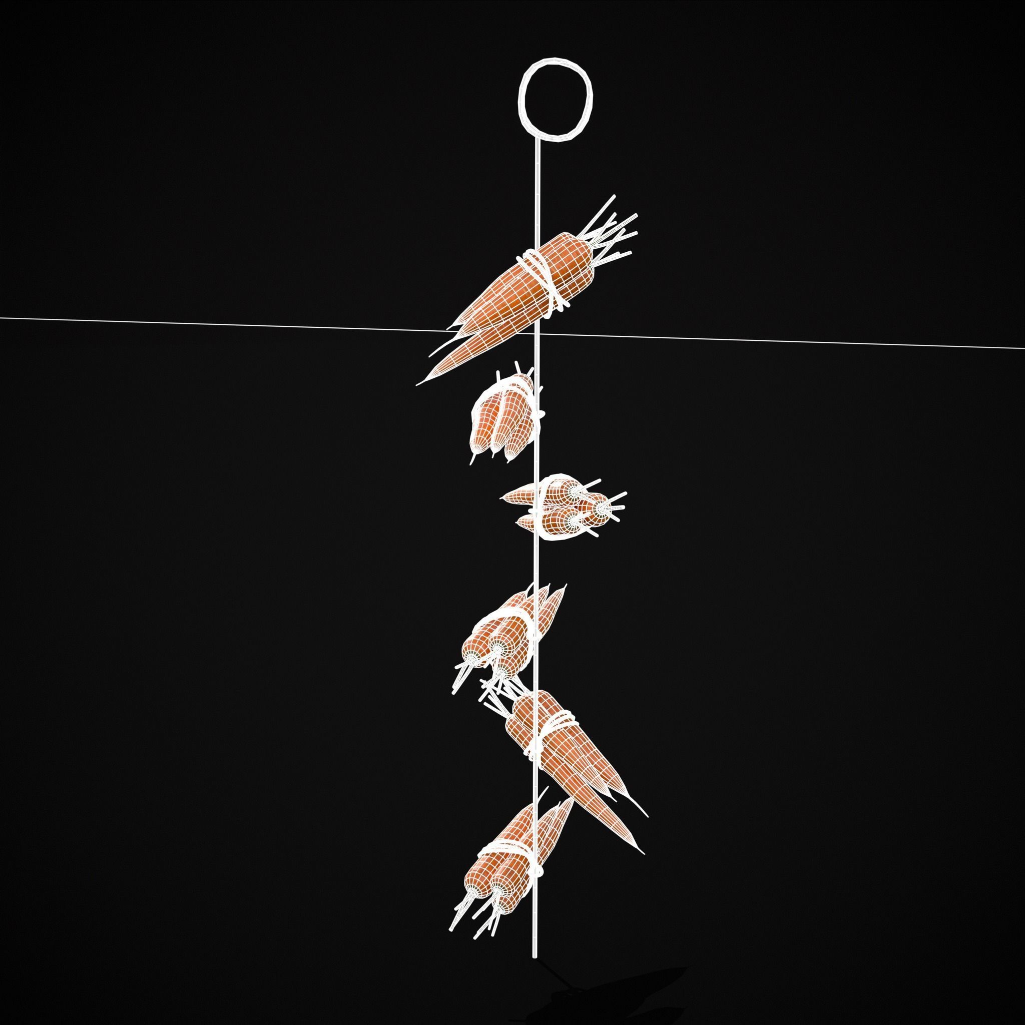 Hanging Carrots Low-poly 3D model_20
