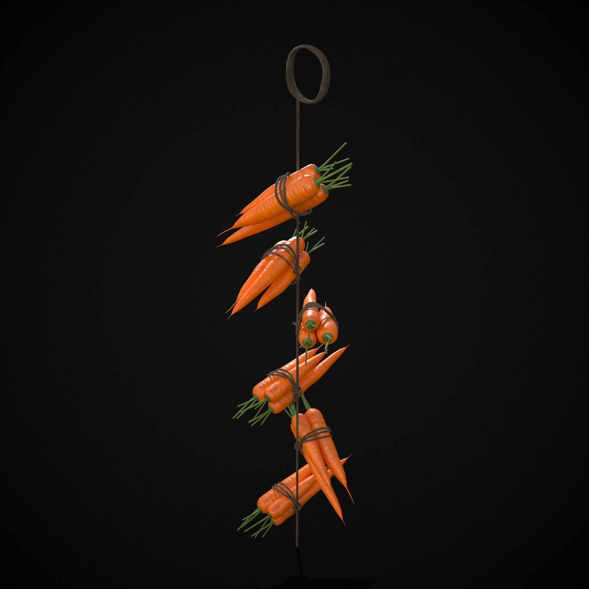 Hanging Carrots Low-poly 3D model_3