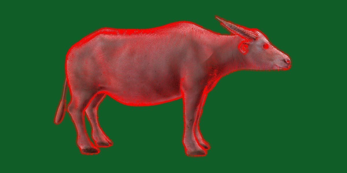 Albino Asian Water Buffalo  3D model_10