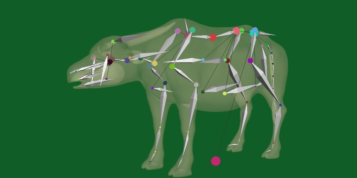 Albino Asian Water Buffalo  3D model_18